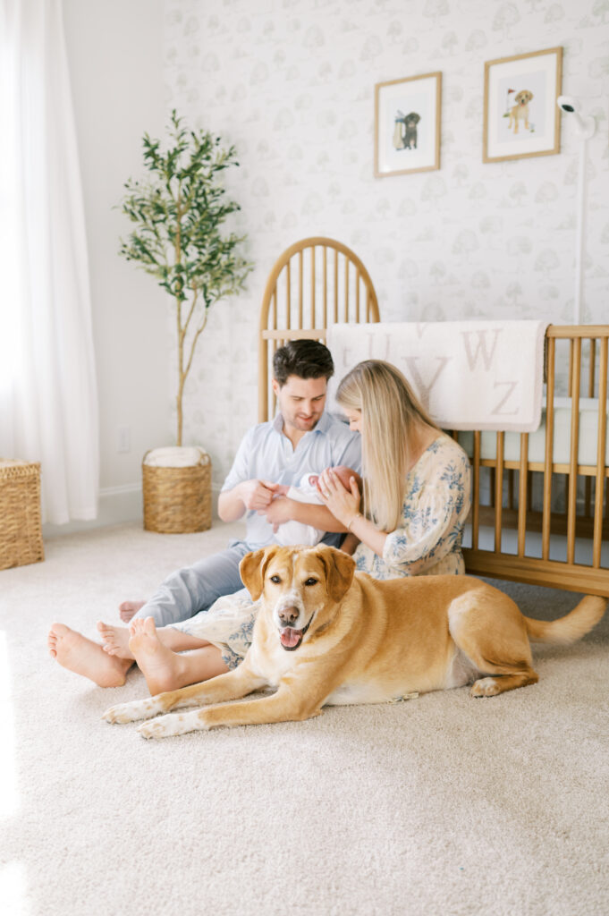 In-Home Newborn session with rescue dog in nursery