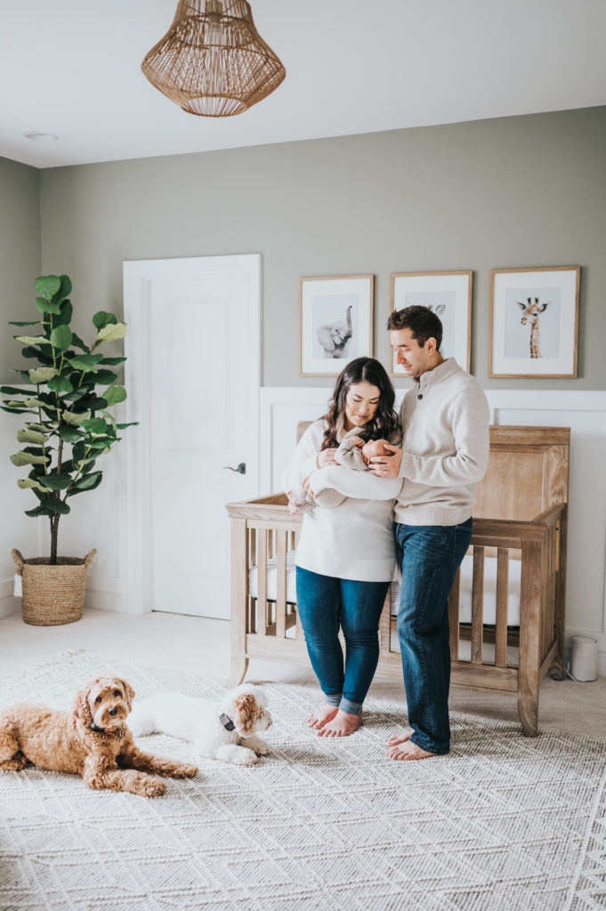 Beautiful baby boy nursery in Apex, NC during newborn photography session with Labradoodles