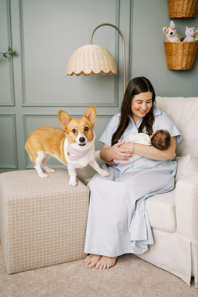 Corgi sits on ottoman and looks at camera while mom holds newborn baby girl during photo session with Worth Capturing Photography in Raleigh
